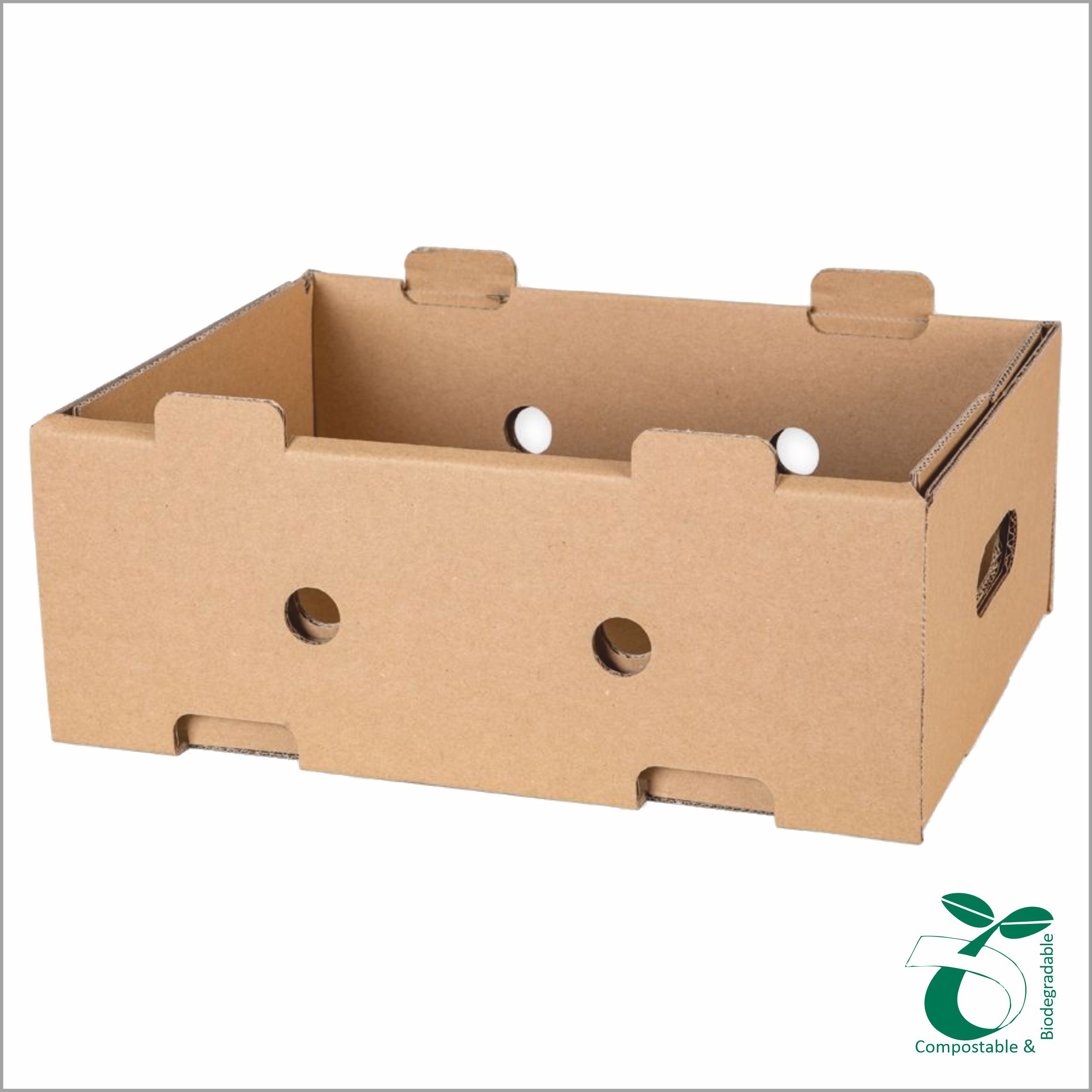 fruit-box2328(1)