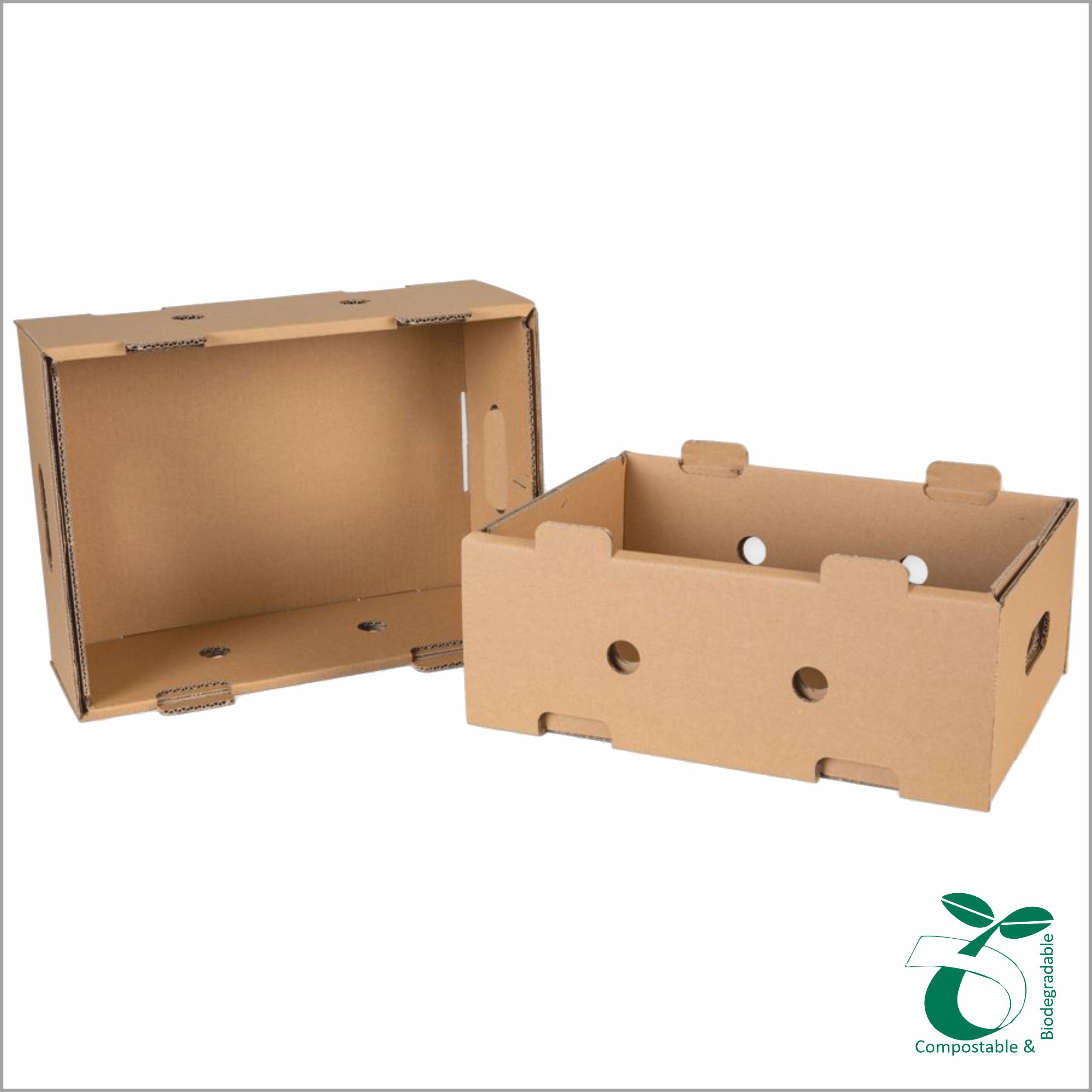 fruit-box2328(2)