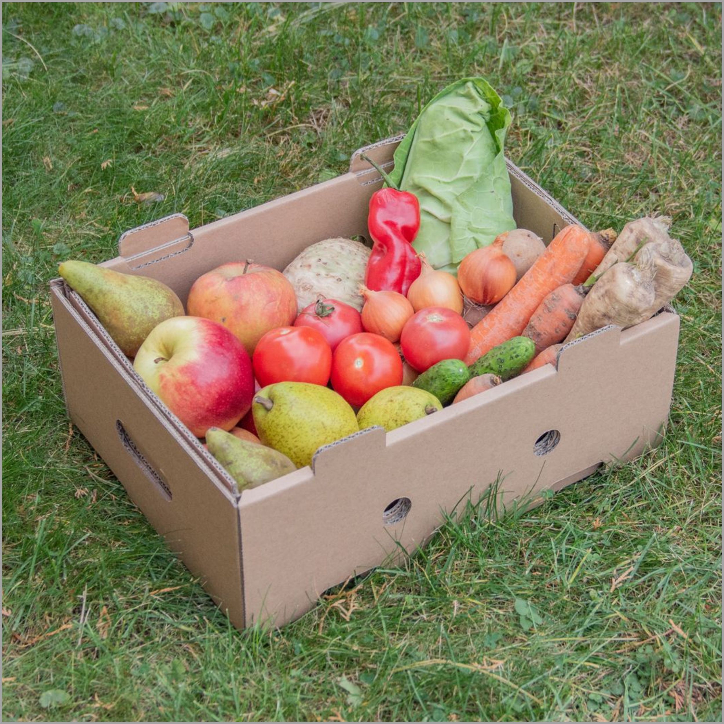 fruit-box2328(4)