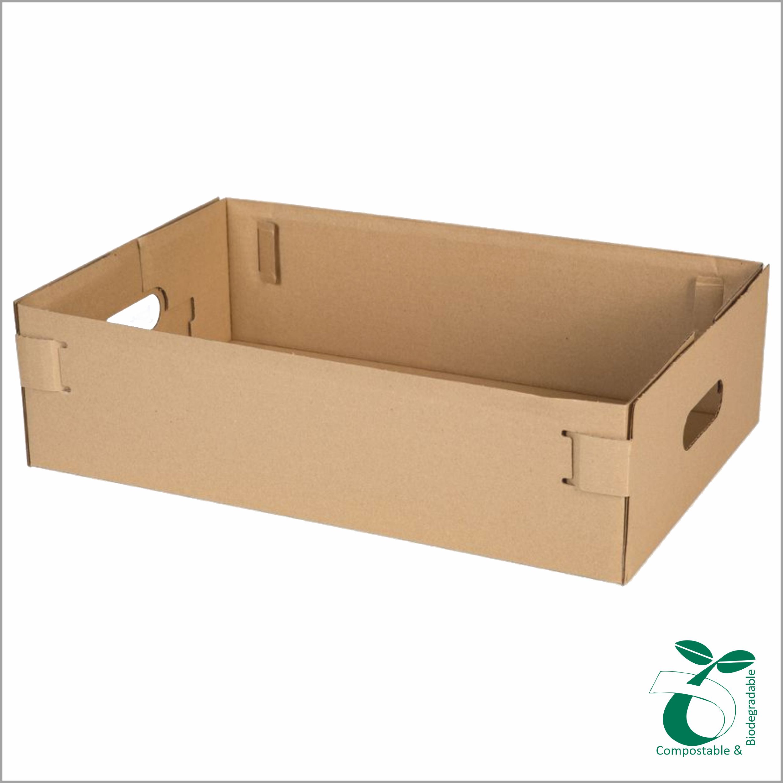 fruit-box2394(1)