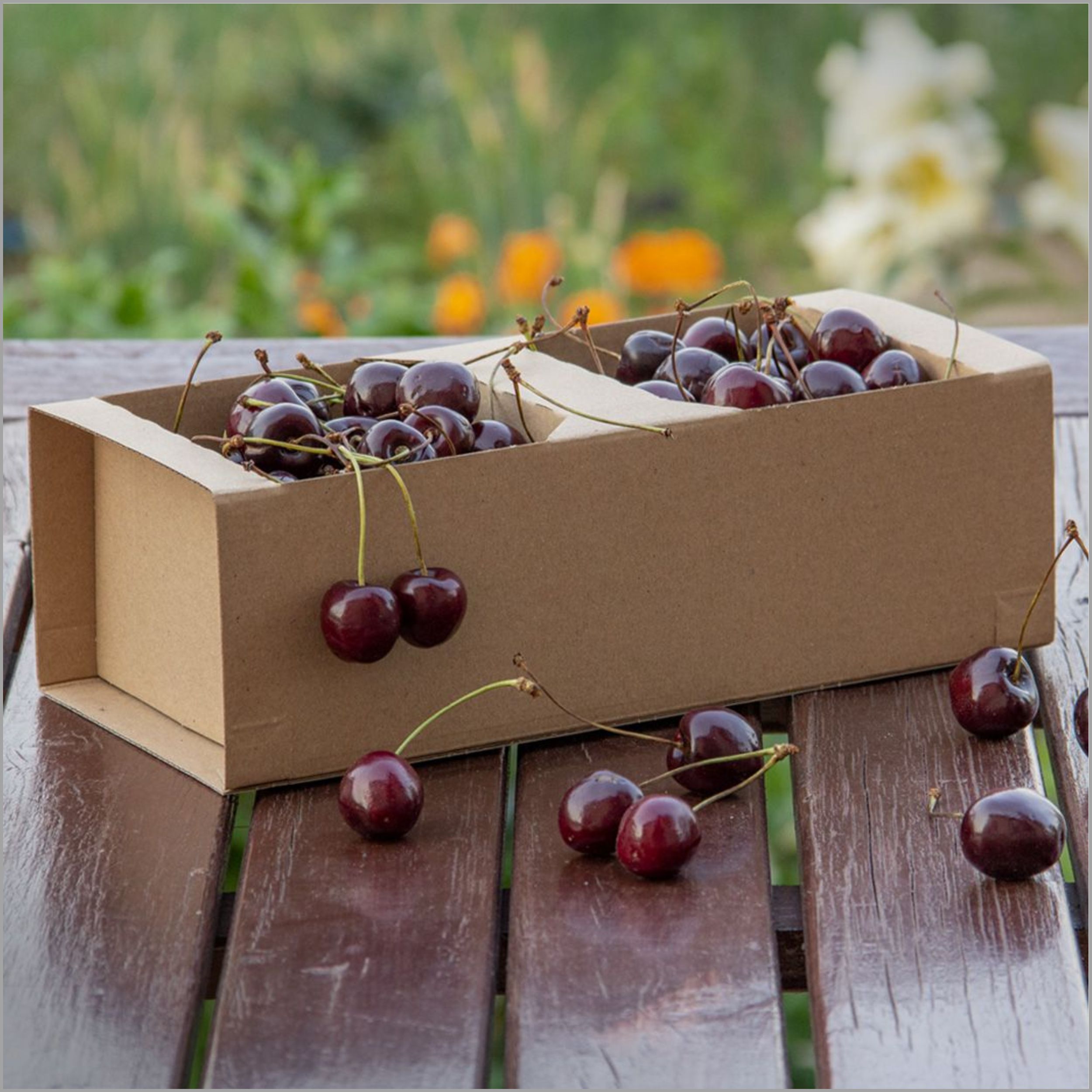 fruit-box2396(3)
