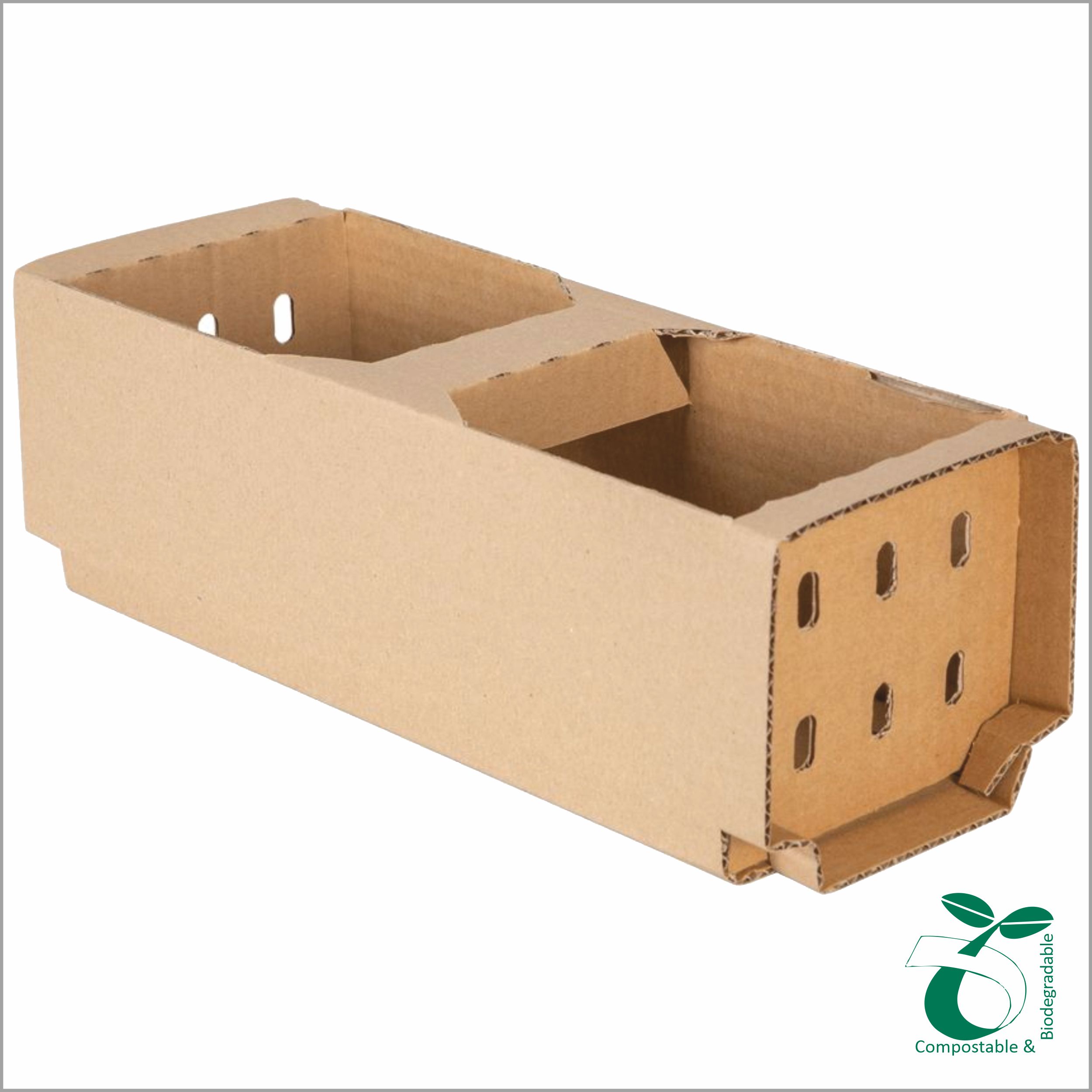 fruit-box2521(2)
